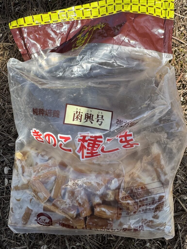 画像に alt 属性が指定されていません。ファイル名: IMG_4715-1-771x1024.jpeg